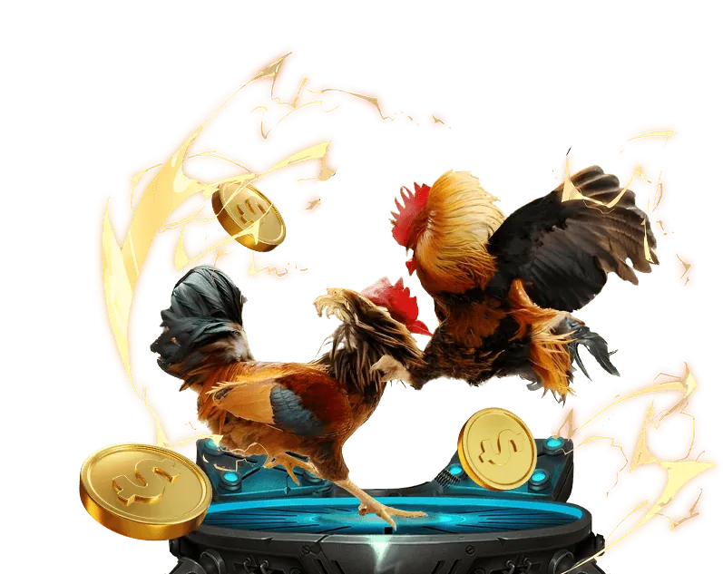 Hỗ trợ khách hàng HB88